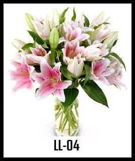 Bunga Lily