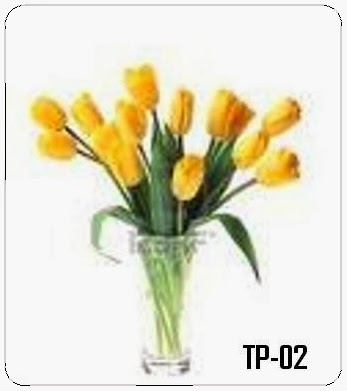 TVI02 TVI02