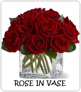 rose in vase